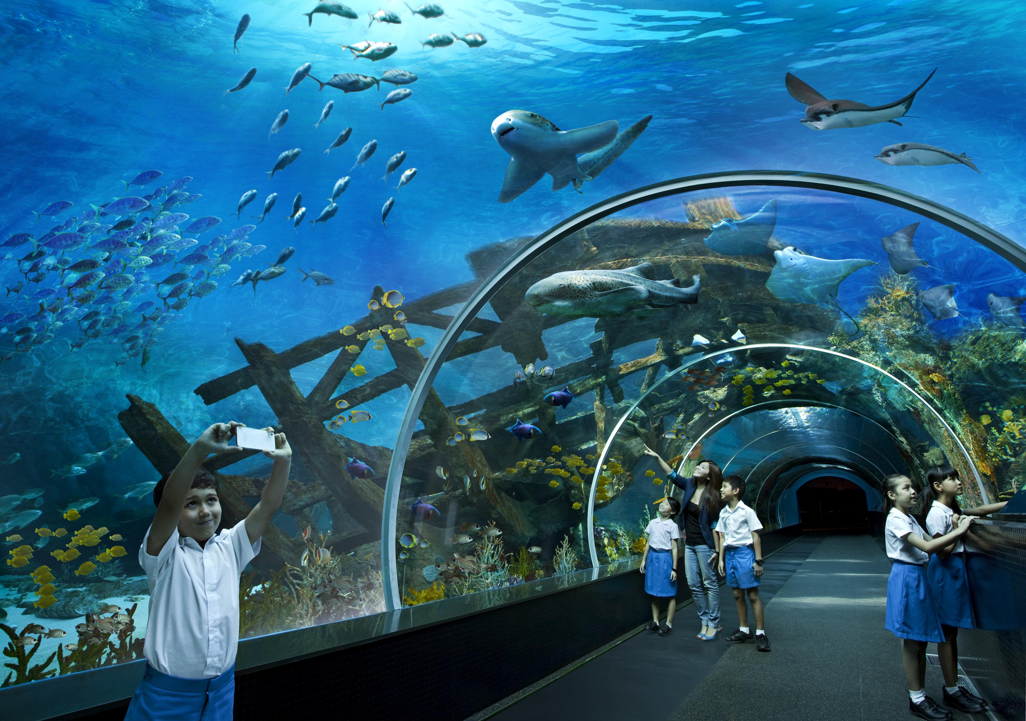 Resorts World Sentosa - Crockfords Tower Singapur Dış mekan fotoğraf